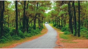Lịch sử Đồi Thiên An Những Điều Bí Ẩn Ít Người Biết