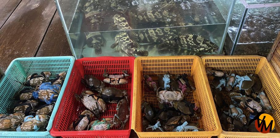 Hải sản tươi sống