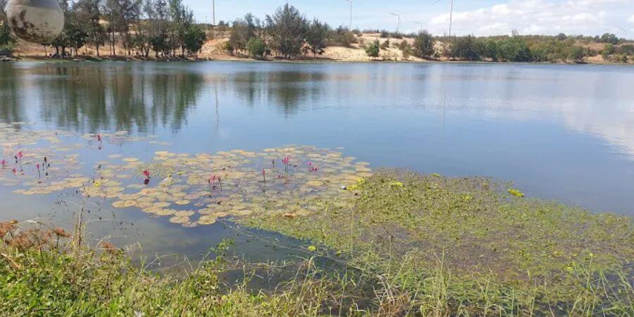 Vẻ đẹp hoang sơ – một nét quyến rũ riêng biệt